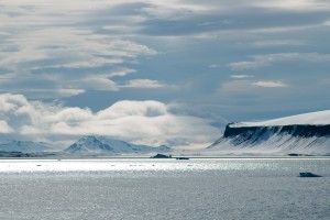 friday arctic around sea ice and bear